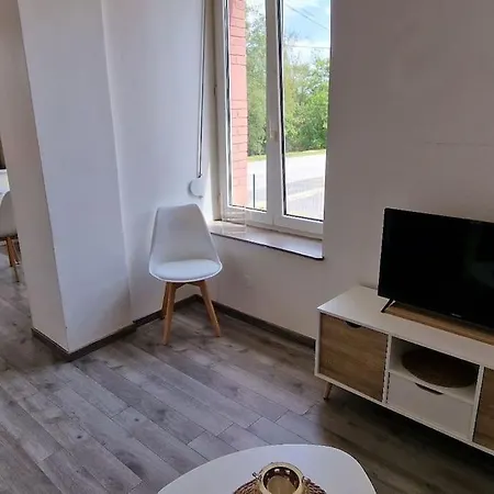 Le Cocon Apartment Saint-Michel-sur-Meurthe